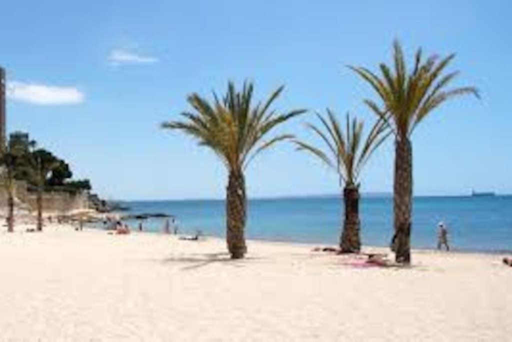 Mi Pequena Bahia Διαμέρισμα Αλικάντε Εξωτερικό φωτογραφία